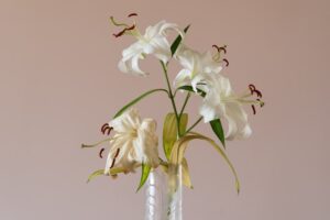 夢占い・夢診断で読み解く亡くなった人の夢の意味とメッセージ